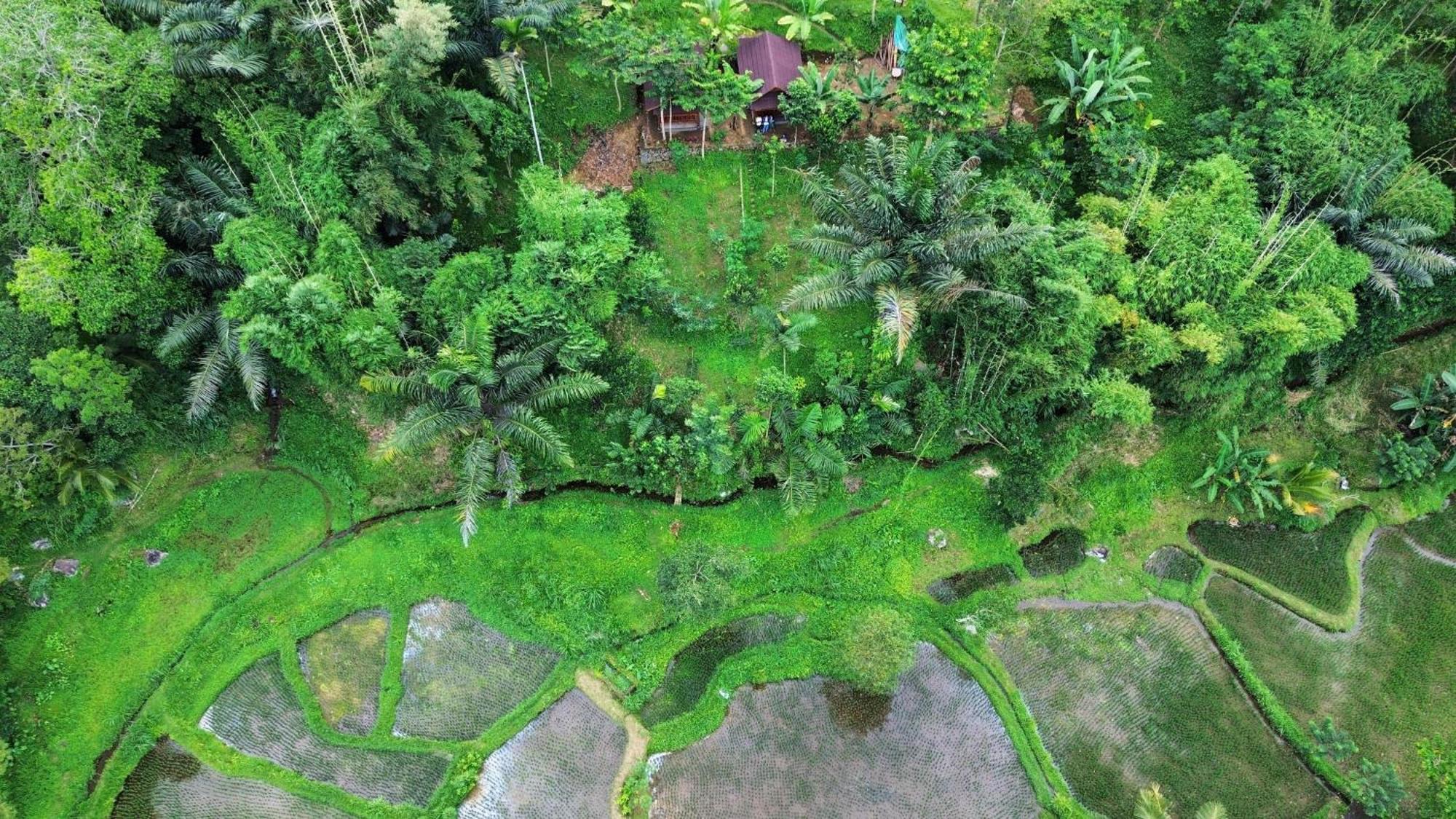 Serenity Lodge Tetebatu Lombok Dış mekan fotoğraf
