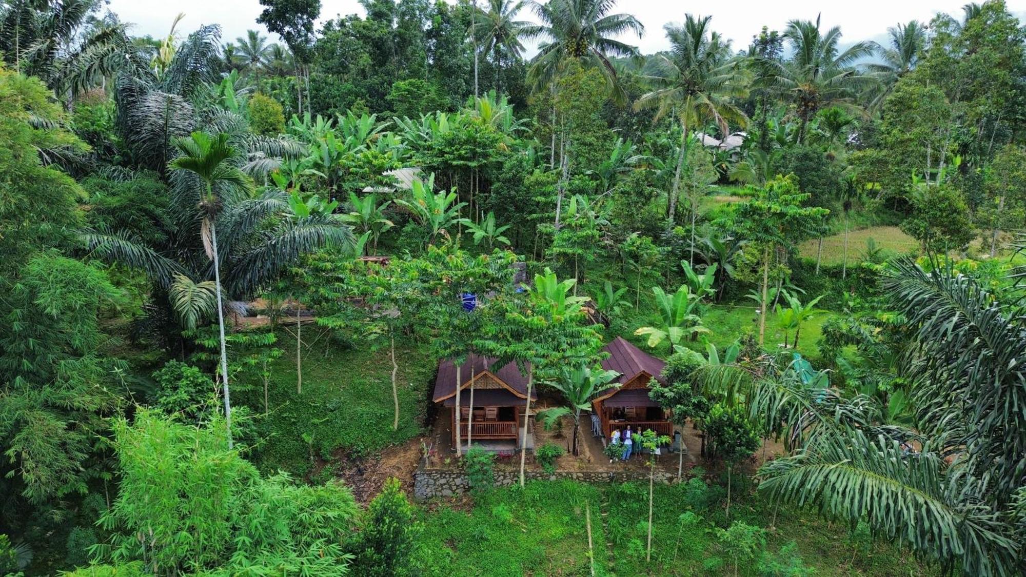 Serenity Lodge Tetebatu Lombok Dış mekan fotoğraf
