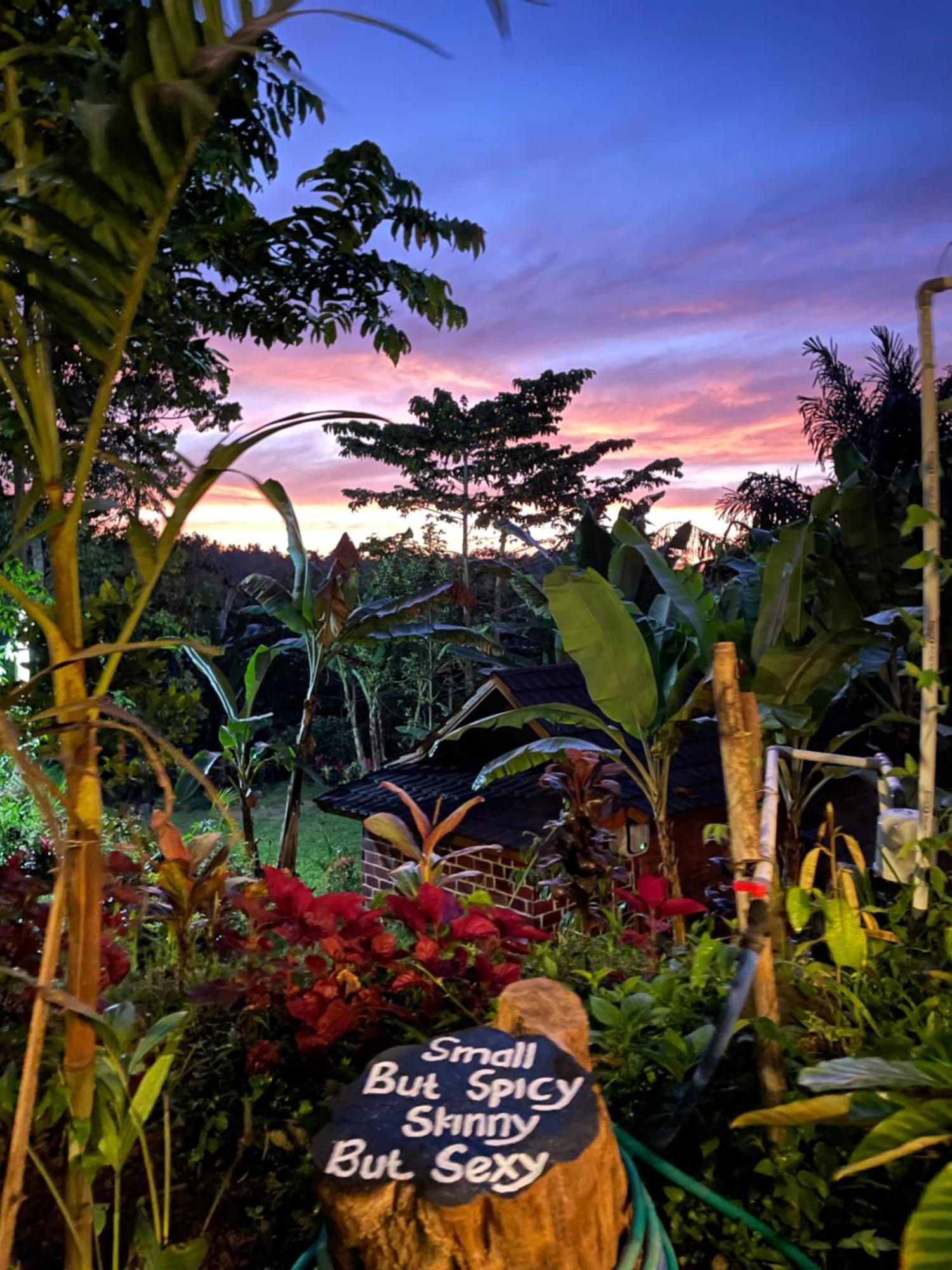 Serenity Lodge Tetebatu Lombok Dış mekan fotoğraf