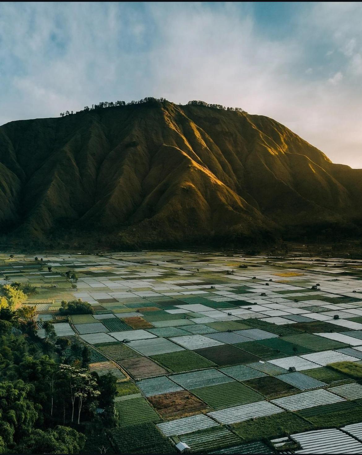 Serenity Lodge Tetebatu Lombok Dış mekan fotoğraf