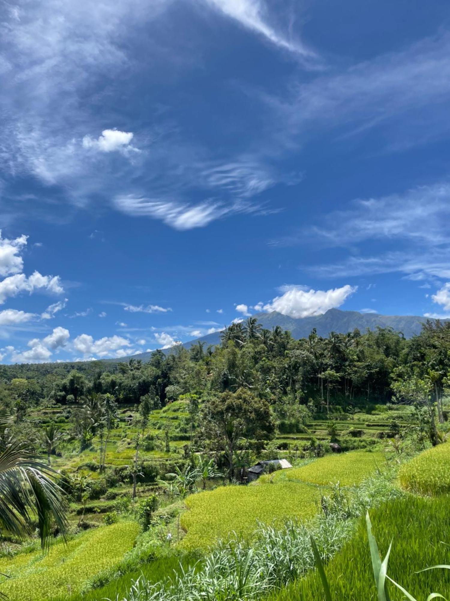 Serenity Lodge Tetebatu Lombok Dış mekan fotoğraf